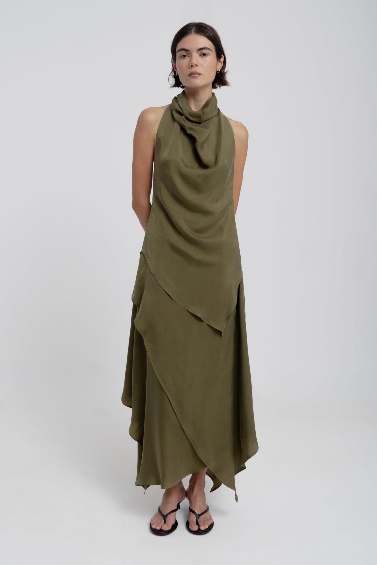 Golden Olive#1