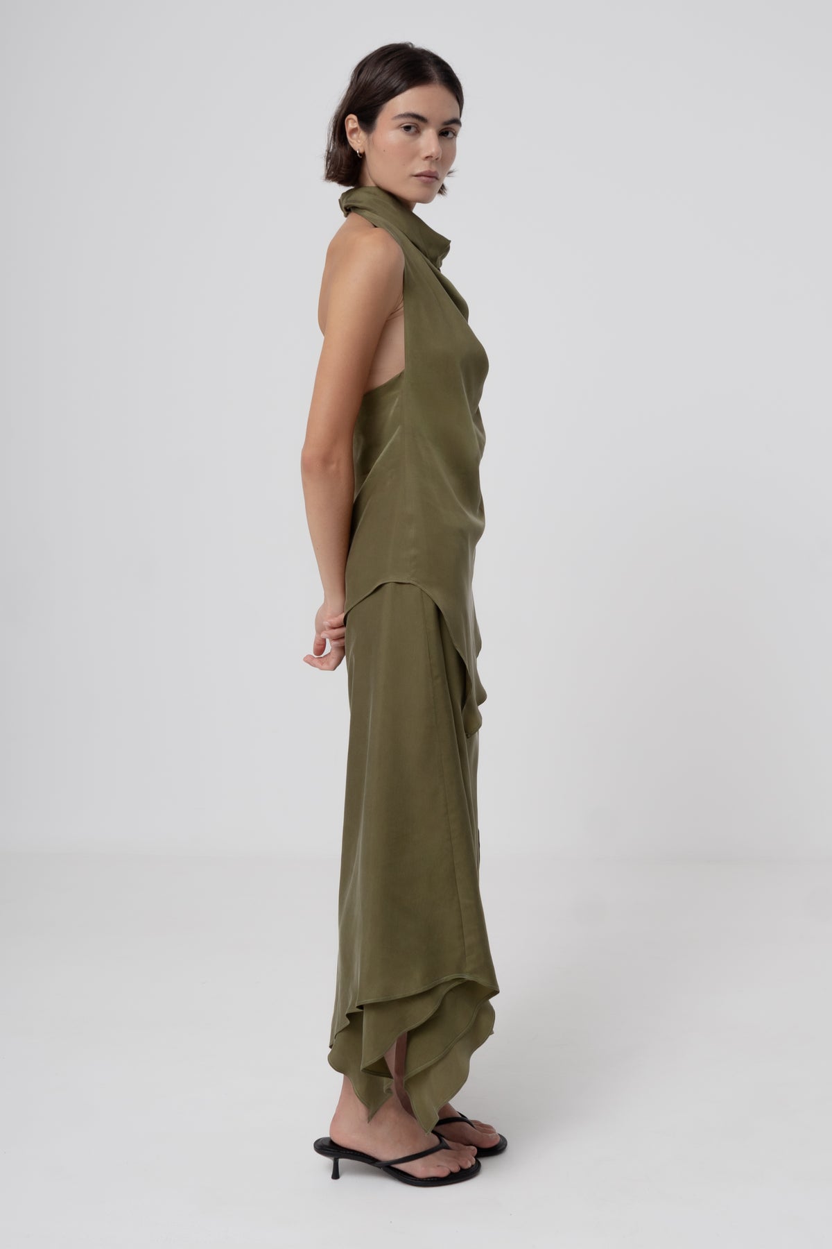 Golden Olive#3