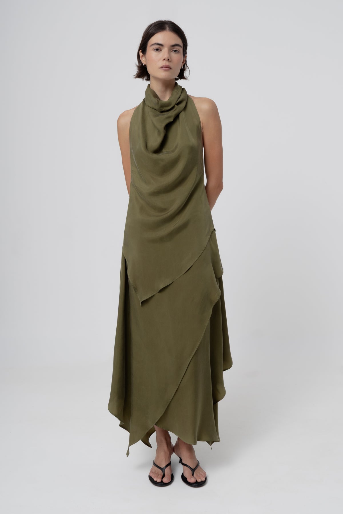 Golden Olive#1