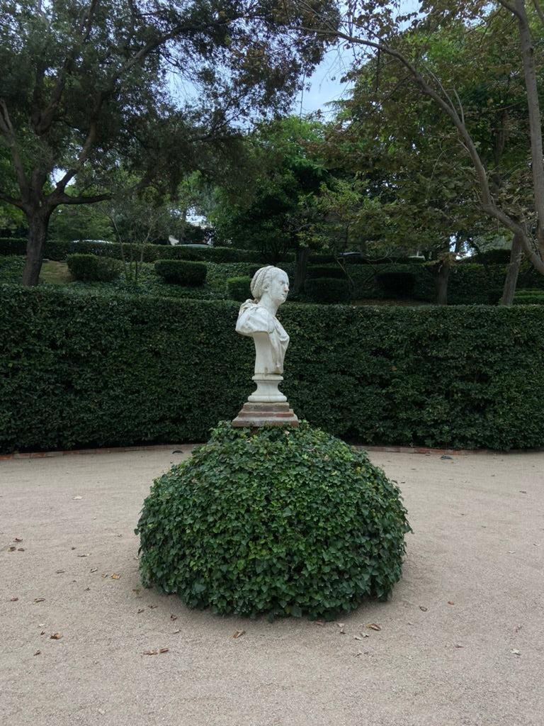 Popup Image