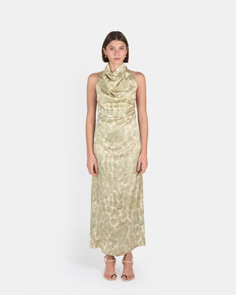 Nicole Printed Dress