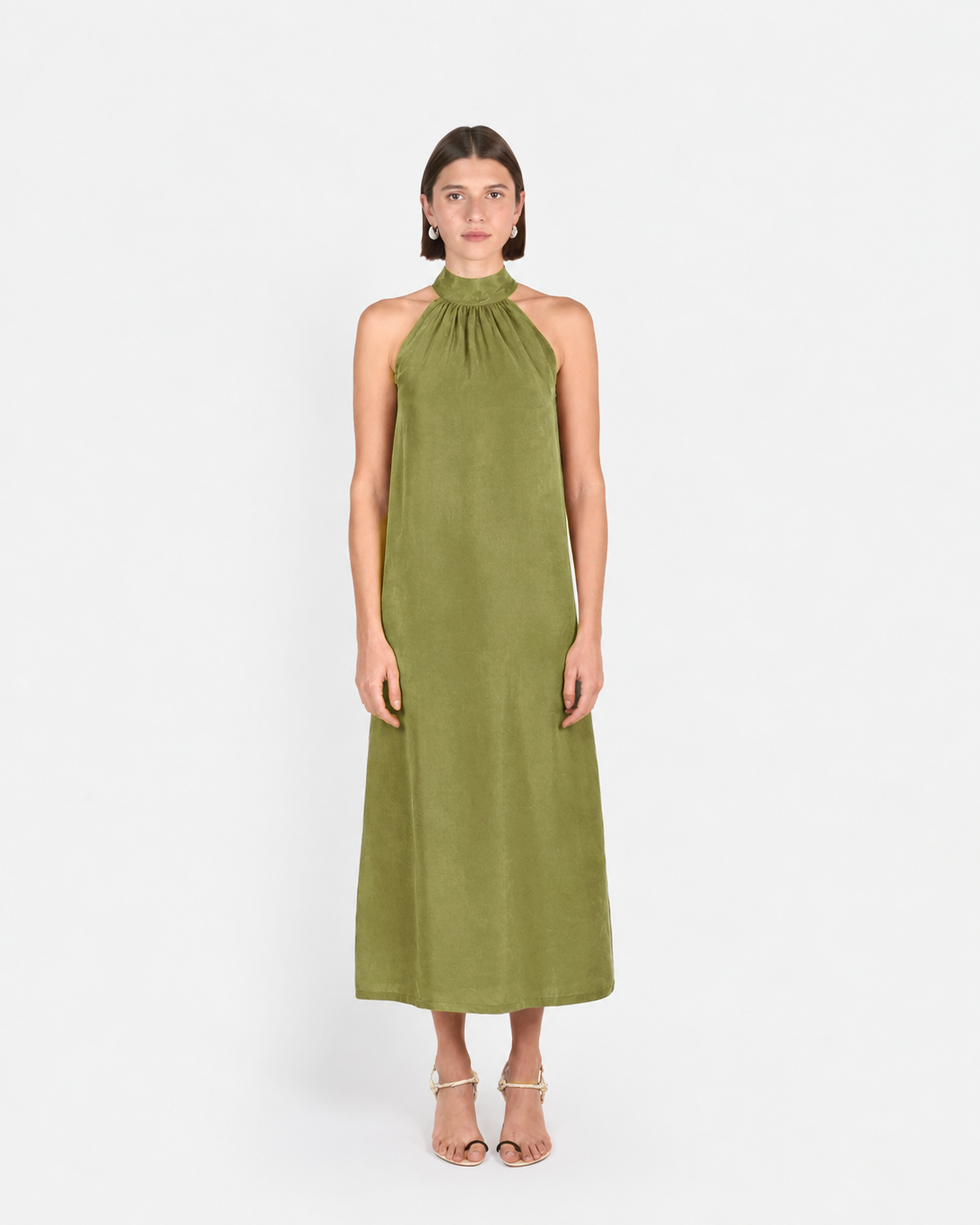 Golden Olive#1